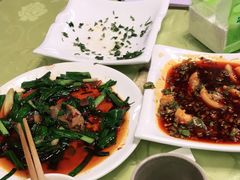 -龙翔山庄雷鸡肉(青城后山泰安古镇店)