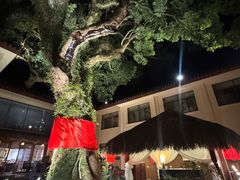 -普陀山雷迪森庄园