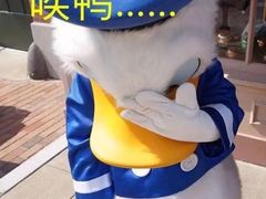 -宠小格时尚宠物生活馆(唐镇店)
