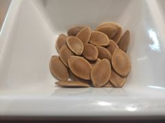 瓜子-探鱼·鲜青椒爽麻烤鱼(天河优托邦店)