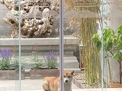 -北京古城老院厉晓麟精致菜