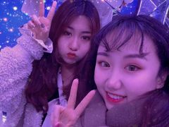 -信不信由你博物馆