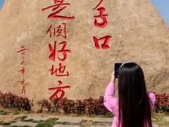 -青岛沙子口国家中心渔港