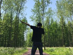 -黄海国家森林公园