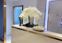 -MIVI野生眉纹绣纹眉