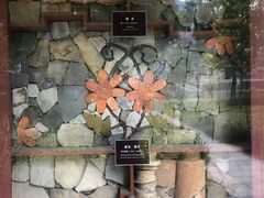 -南越王博物院(王宫展区)