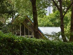-新虹桥中心花园