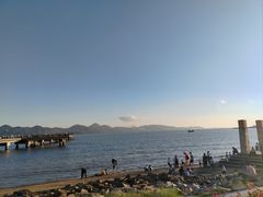 -深圳湾公园(南山区)