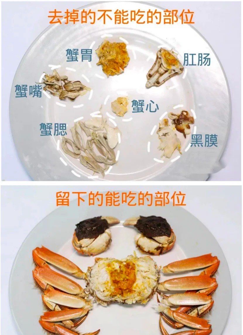 第一 次吃螃蟹,这些部位能吃吗?