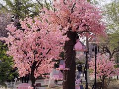 -天津五大道文化旅游区