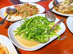 -绿光森林餐厅