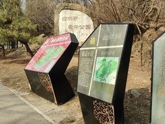 -白水寺森林公园
