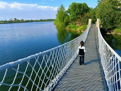 -杭州湾海上花田景区