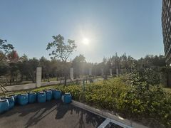 -东方体育中心(地铁站)