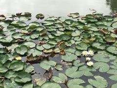 -乌石塘景区