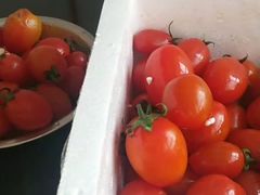 -百果园PAGODA(爱华市场店)