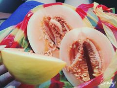 android_upload_pic-海鸥岛