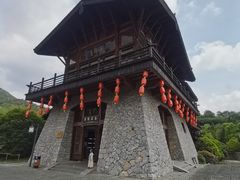-大唐贡茶院