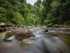 -普洱太阳河森林公园