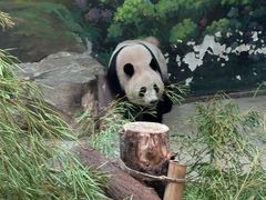 -杭州动物园
