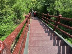 -北京凤凰岭