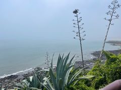 -漳州滨海火山岛自然生态风景区