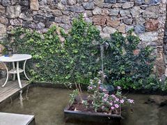 -大理老字号·舟渔的鱼野生菌海景餐厅(双廊店)