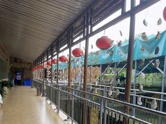 -崖口红树林海鲜餐厅