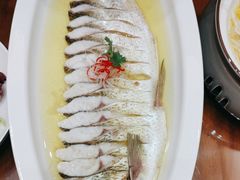 -鲁宴·鲁煨黄河生态大鲤鱼(月坛店)