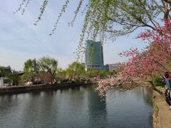 -无锡蠡湖国家湿地公园-蠡园
