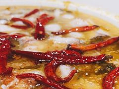 -青花椒花椒鱼(合生汇店)