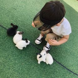 -萌宠亲子动物乐园(槐房万达店)