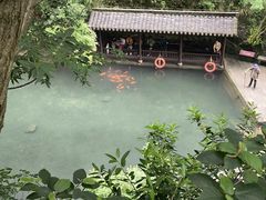 -雁荡山风景名胜区