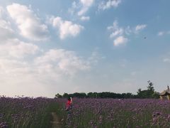 -杭州城北体育公园