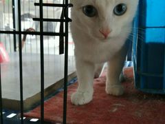 android_upload_pic-赢吧Bliss音乐酒吧