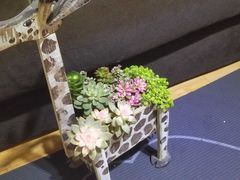 -三圣花乡旅游区