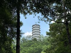 -深圳国际园林花卉博览园