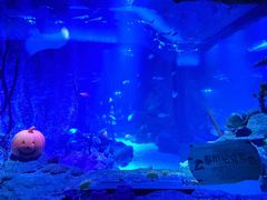 -沈阳海洋探索中心