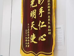 -中农国际动物医院24小时·猫科·骨科·急重症中心