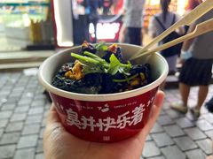 -黑色经典臭豆腐·湖南特产(坡子街店)