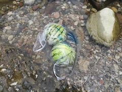 -青城两河漂流