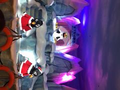 -帝企鹅自助餐厅•儿童岛•真企鹅(长隆企鹅酒店)