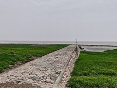 -南汇嘴观海公园