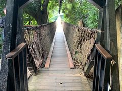 -三亚亚龙湾人间天堂鸟巢度假村