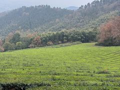 -敬亭山风景名胜区