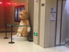 -万达影城(江桥万达广场IMAX店)