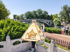 -赵州桥景区
