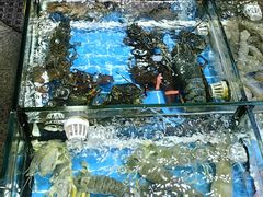 -船奇蒸汽海鲜·闽菜(八市海鲜总店)