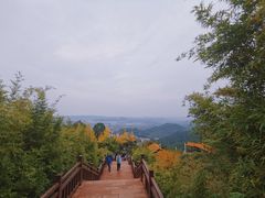 -铁山坪森林公园