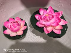 -和府捞面(方庄店)